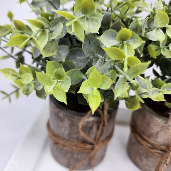 New Faux Succulents Mini Potted Plants Set/3 Faux Frosted Plants in Planters - Picture 7 of 9